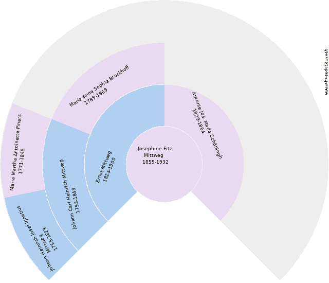 Maria Friedrich Diagrama circular