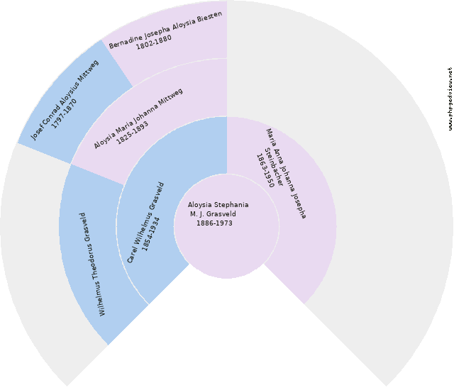 Maria Kellner Diagramma Circolare