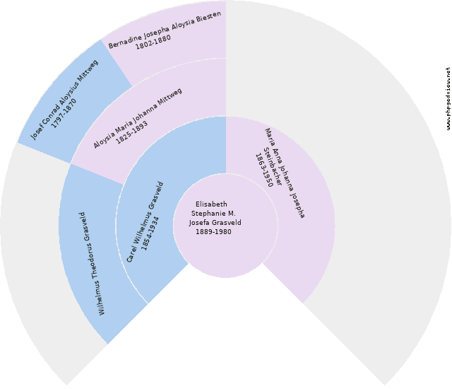 Alfons J. Grasveld Diagrama circular