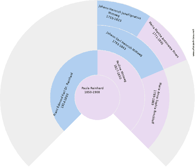 Eduard Mittweg Kreisdiagramm