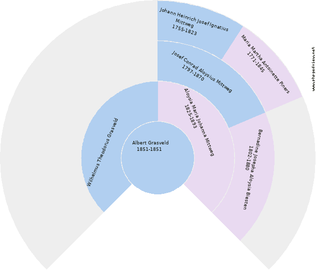 Helene Meyer Diagrama circular