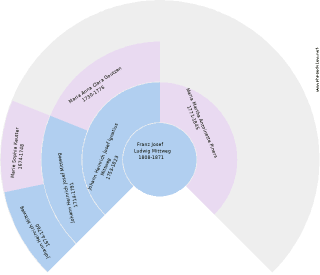 Amelia Swarting Diagrama circular