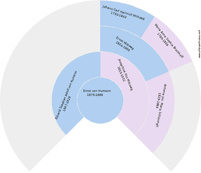Elisabeth Mittweg Circle Diagram