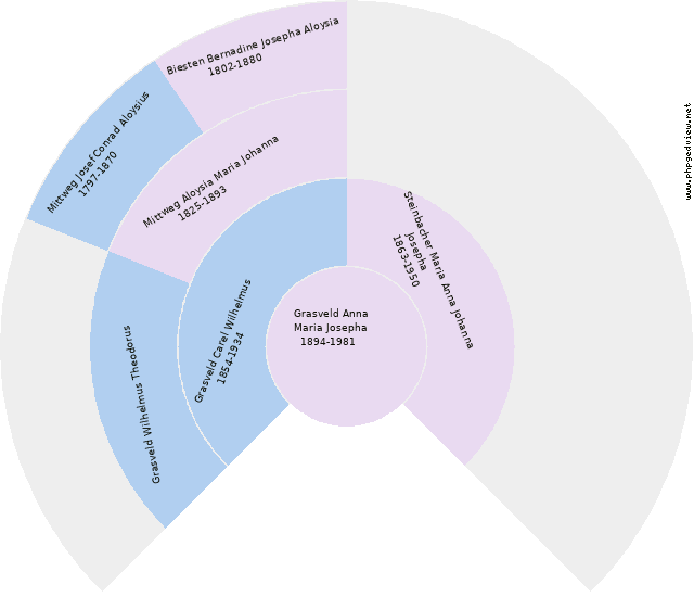 Maria Anna Kramer Diagrama circular
