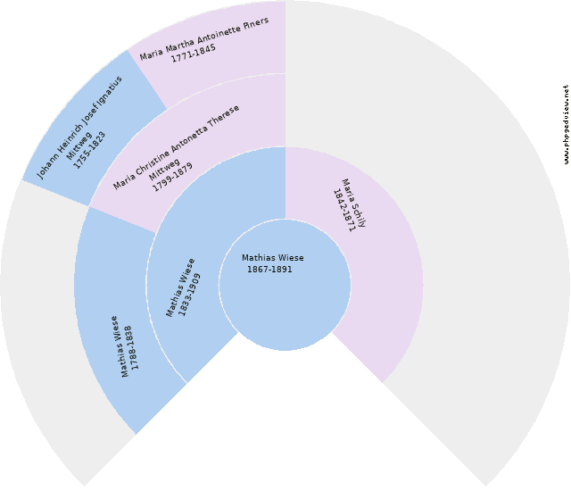 Leni Hamann Kreisdiagramm