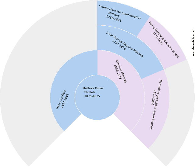 Wilhelm Mittwech Diagrama circular