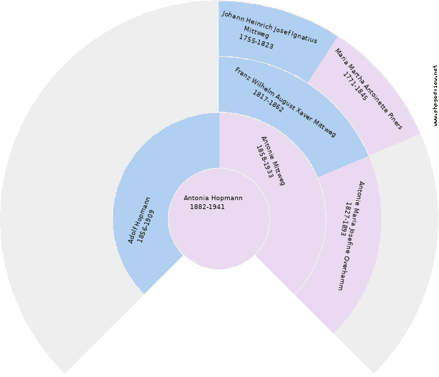 Maria Christine Mittweg Kreisdiagramm