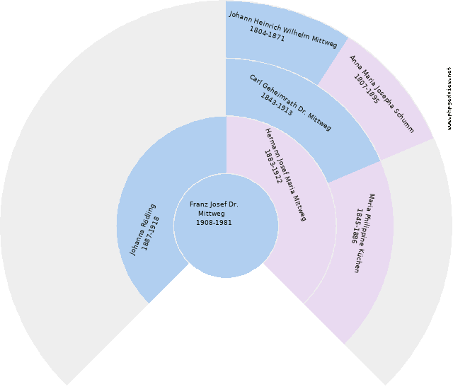 Johanna Cremer Kreisdiagramm