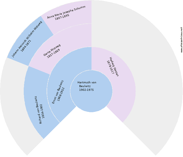 Therese Maria Wiese Kreisdiagramm