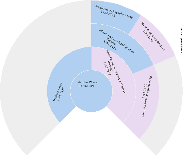 Gisela Mittweg Diagramma Circolare