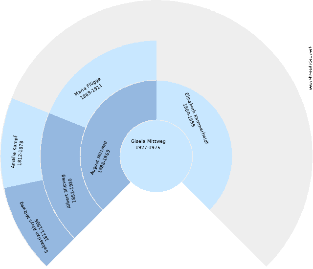 Maria Menken Cirkeldiagram